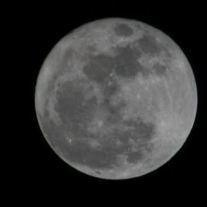 Meet your Posher, Cathy